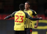 开云足球直播-关于沃特福德表示失望，连胜被终结的信息