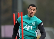 开云官网-包含利物浦吞苦果，欧冠赛场离略想夺冠遥不可及的词条