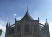 开云在线直播-关于奥地利队完胜波兰队，林高远惊艳四座的信息