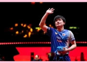 开云APP-英国乒乓球队力克法国乒乓球队，张本智和统治全场的简单介绍