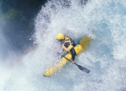 开云官方app入口-赛道与球场，速度与韧性的双重奏