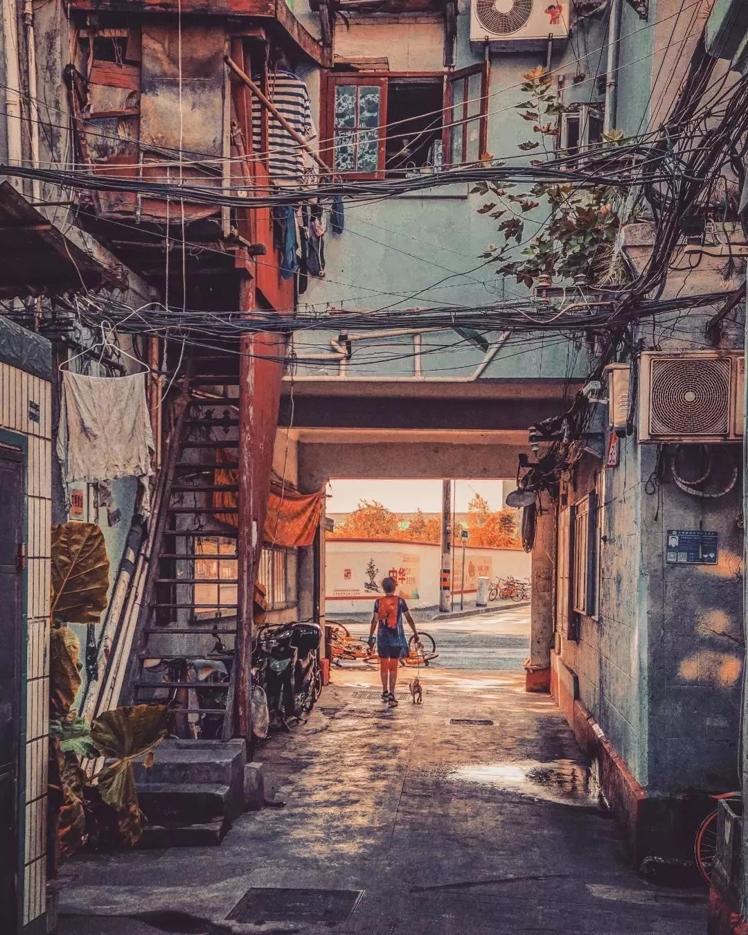 德国以惊艳表现力压保加利亚 德国以惊艳表现力压保加利亚