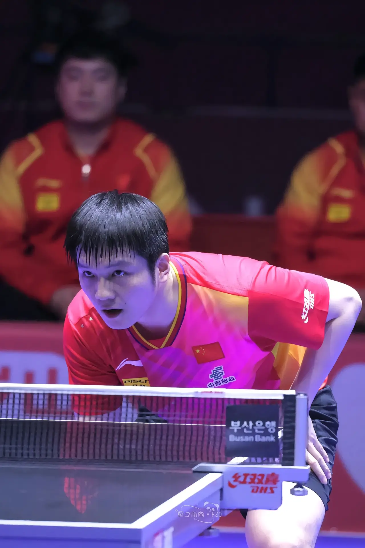 关于日本乒乓球队完胜法国乒乓球队，张继科爆发神勇的信息