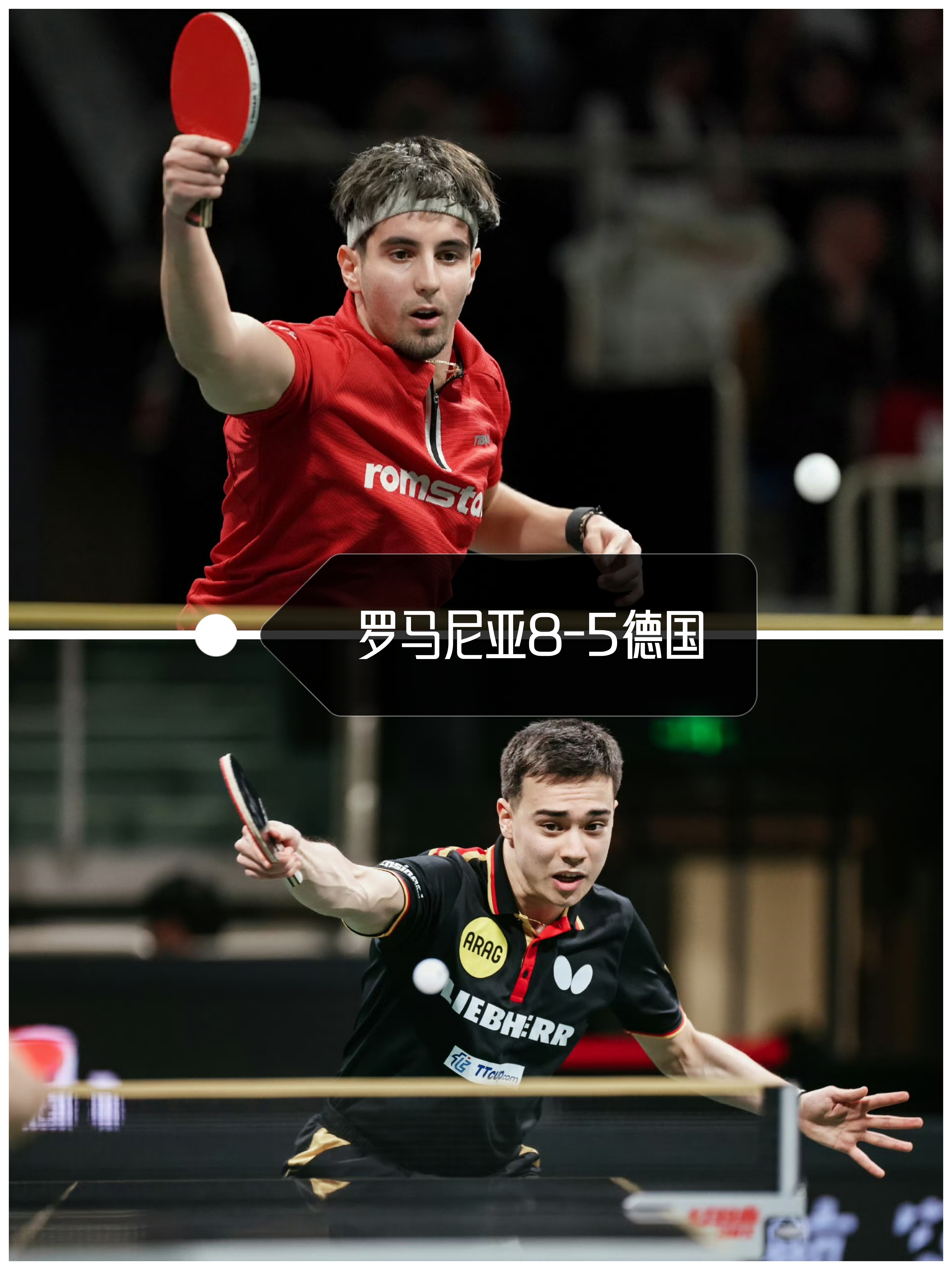 西班牙网球队轻取日本网球队，瓦林卡打破历史纪录的简单介绍