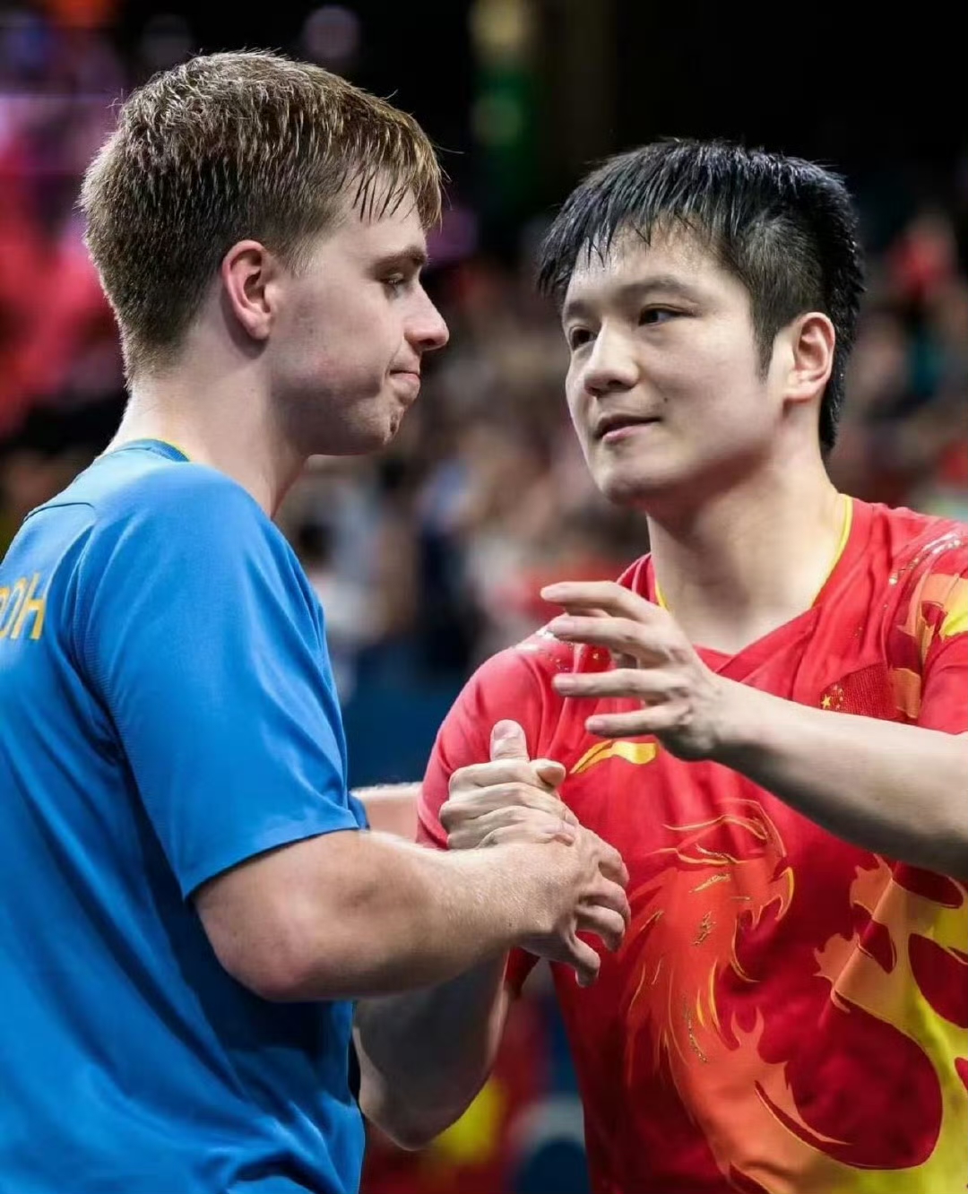 关于法国队碾压韩国队，樊振东关键制胜的信息