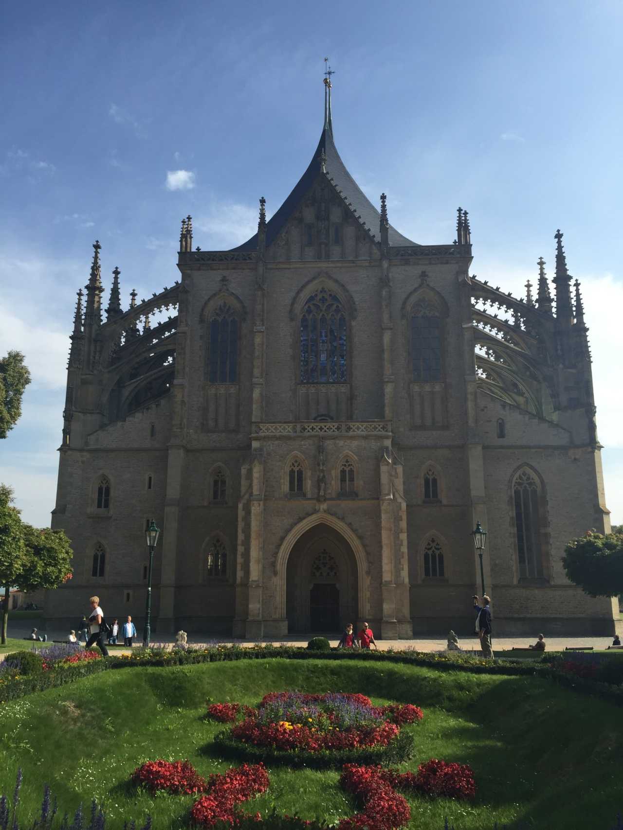 关于奥地利队完胜波兰队，林高远惊艳四座的信息