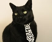 东决关键战焦点战，中国女篮碾压荷兰，展现亚洲篮球新高度