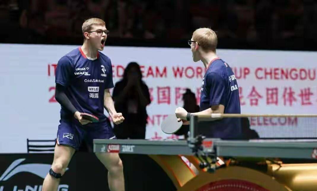 法国队横扫韩国队，张本智和高光表现