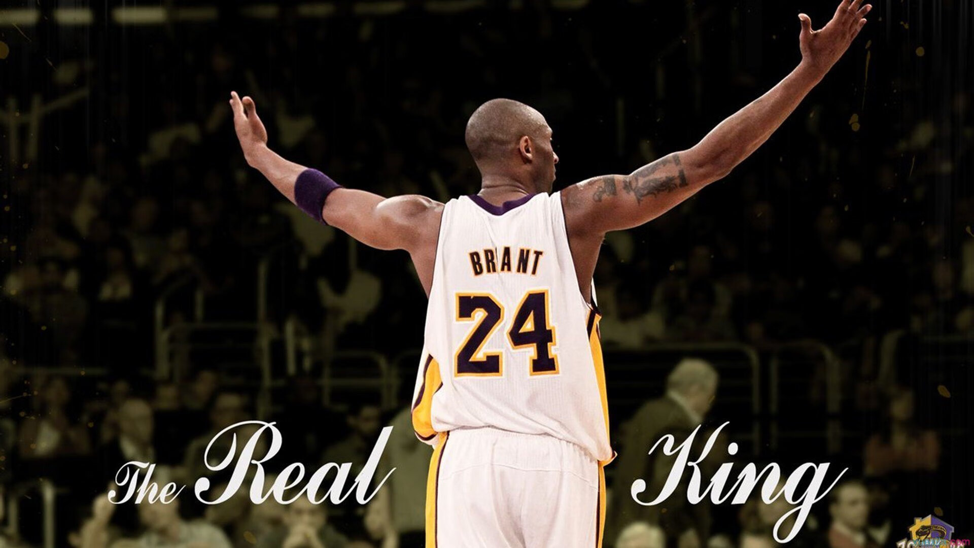 布雷默节奏完全掌控，威尔士生死战取胜皇家社会，战术纪律铸就唯一性胜利